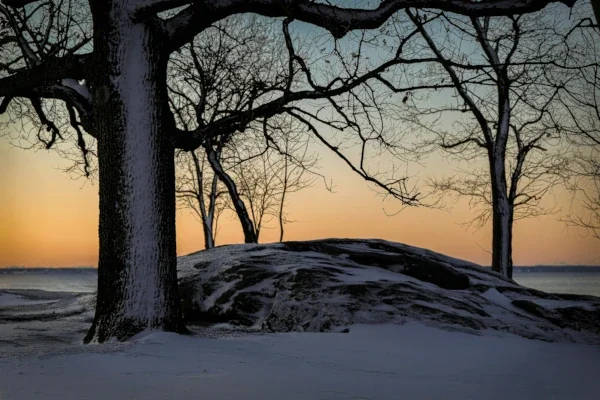 Data Tech Insights 01-30-2026