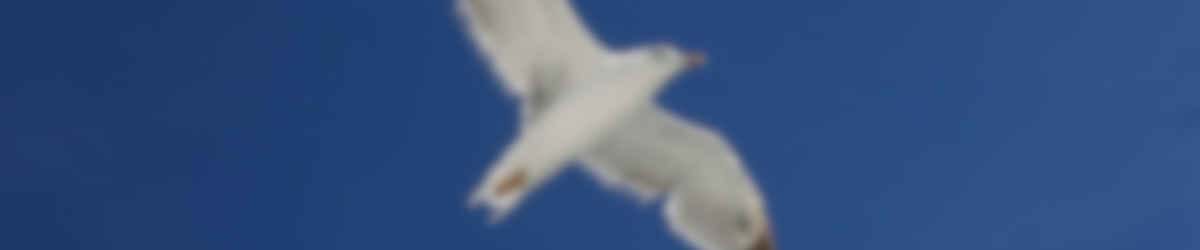 Cloud Migration and Development